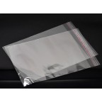 Пакет со скотчем 25*35+5/25 (100шт)