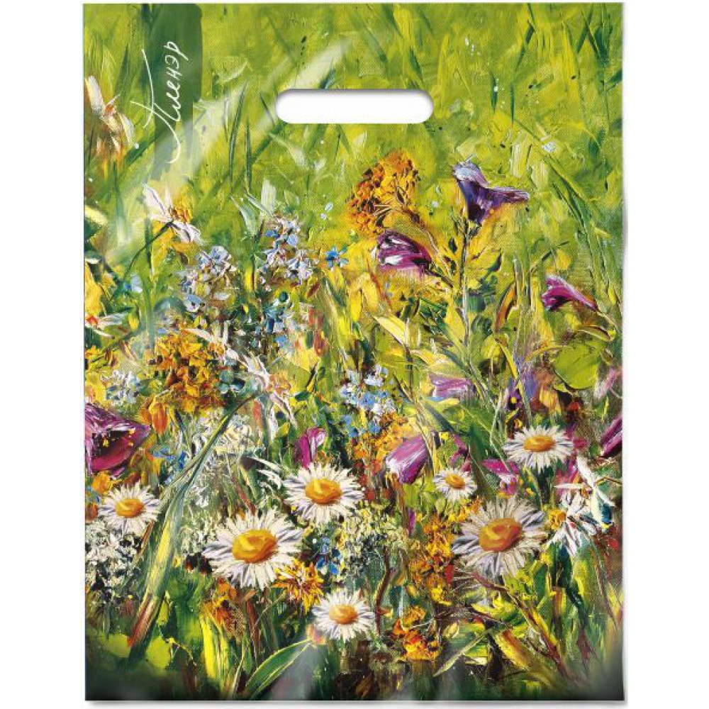 Пакет ПВД 31*40/60мкм "Пленэр"