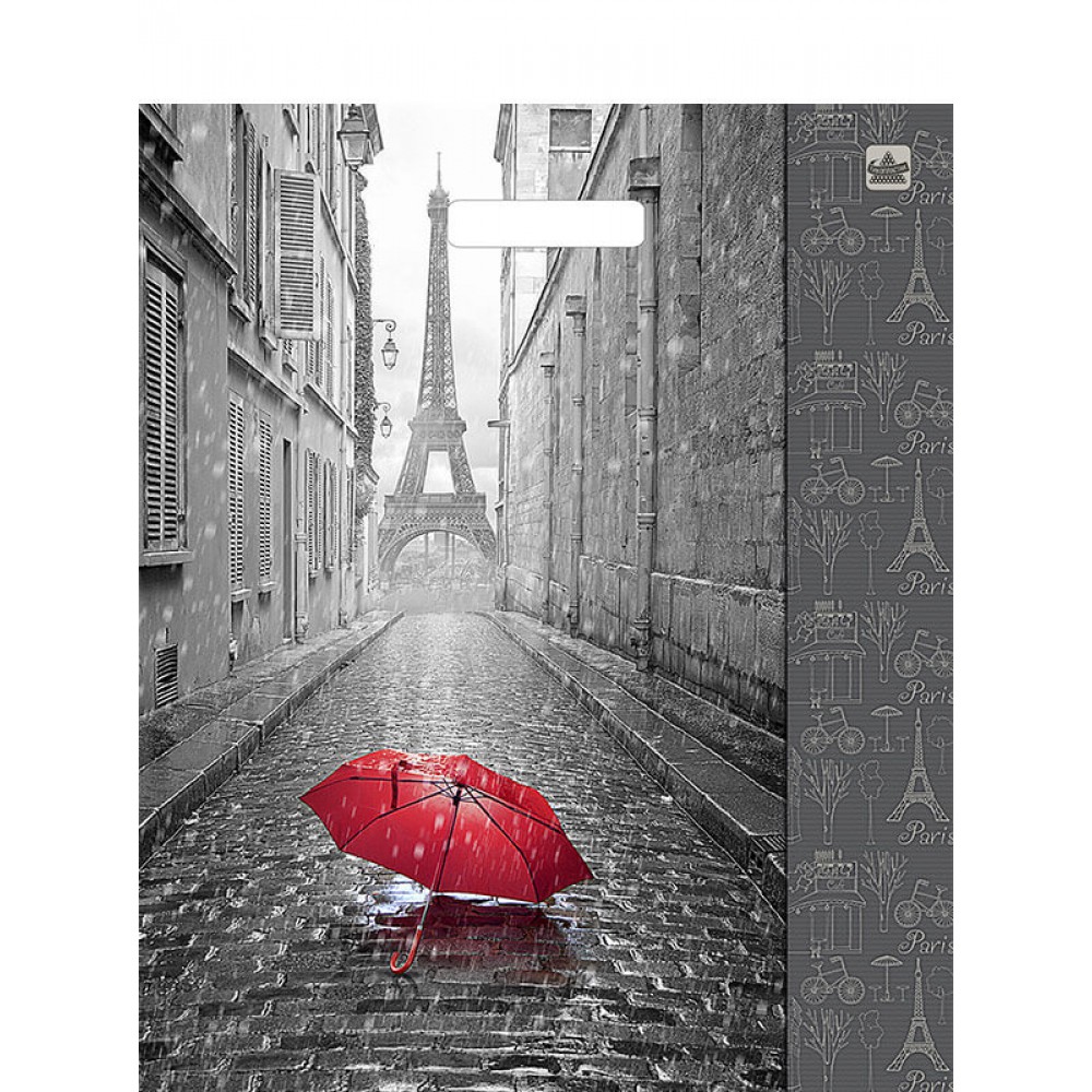 Пакет ПЭ с вырубной ручкой 38*45+3/50 "Дождь в Париже"