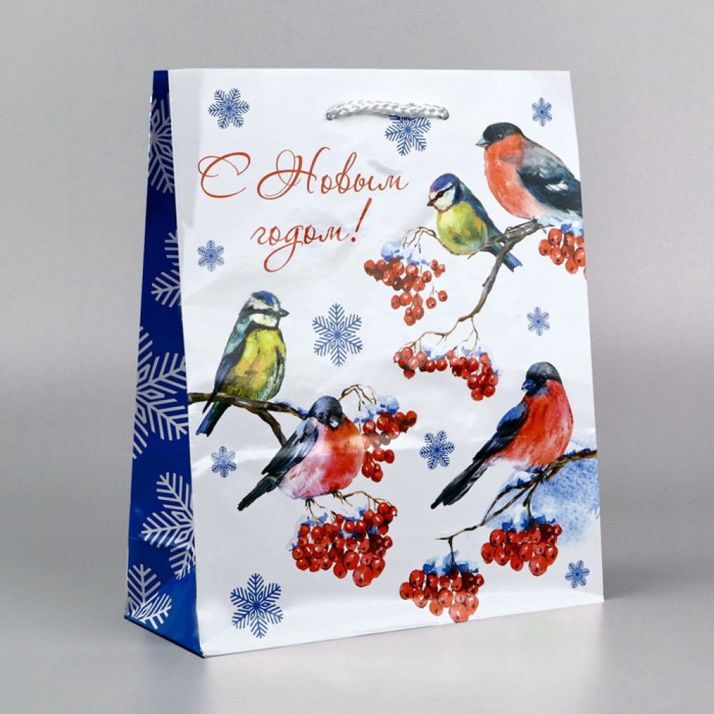 Пакет подарочный «С Новым годом», 23×27×11.5 см