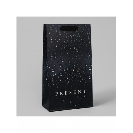 Пакет под две бутылки "Present for you" 35*20*9см. 