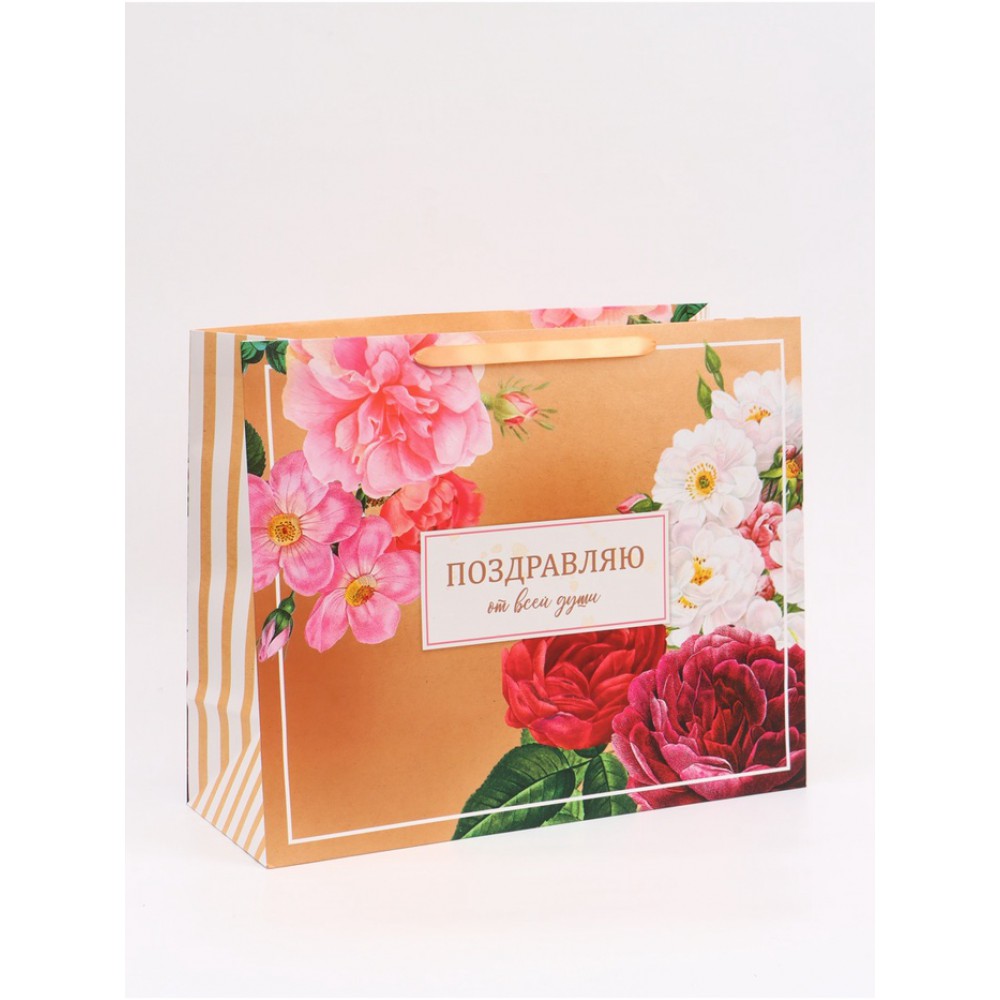 Пакет "Поздравляю от всей души" 49*40*19см. 