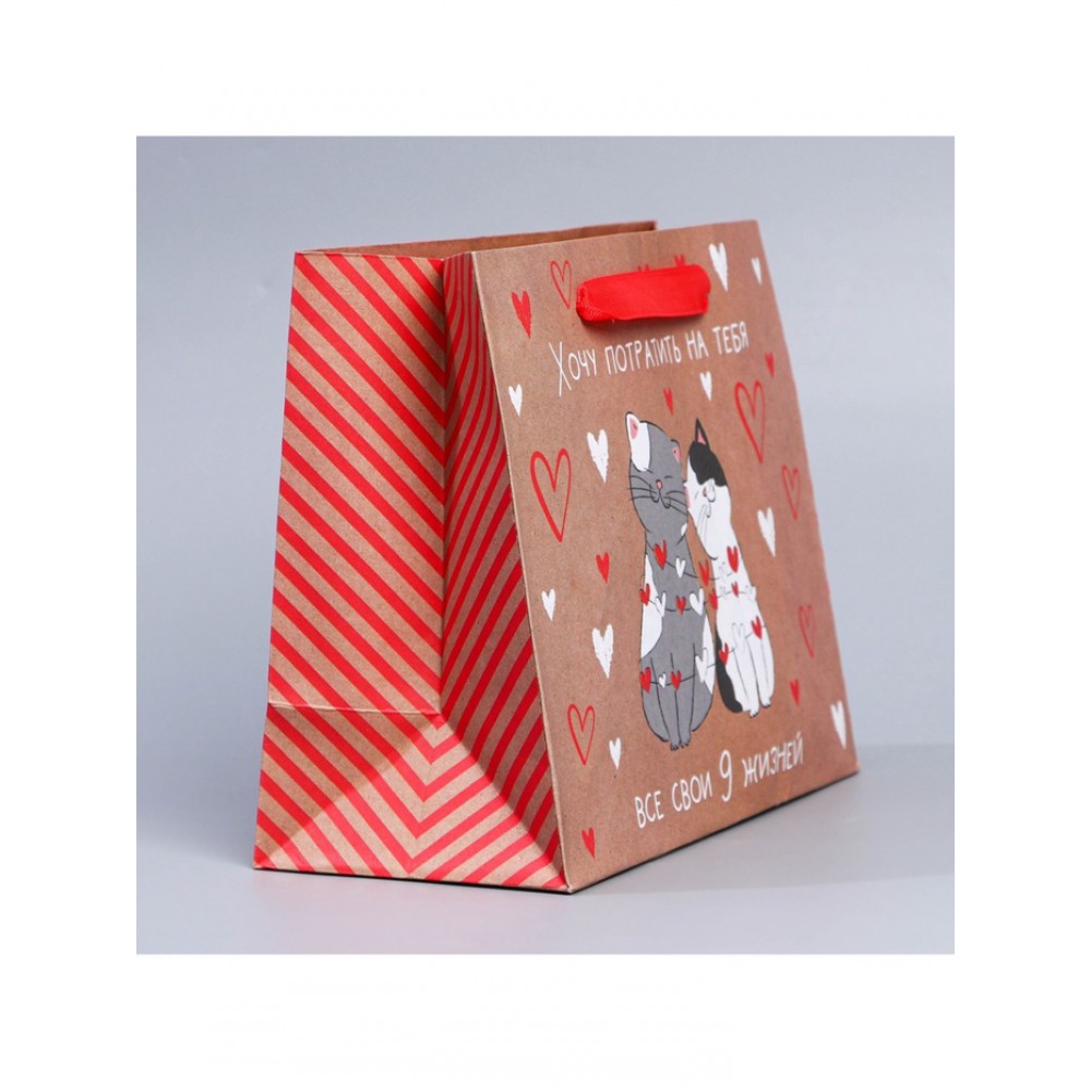 Пакет крафт «Потрачу девять жизней», 18×23×8 см
