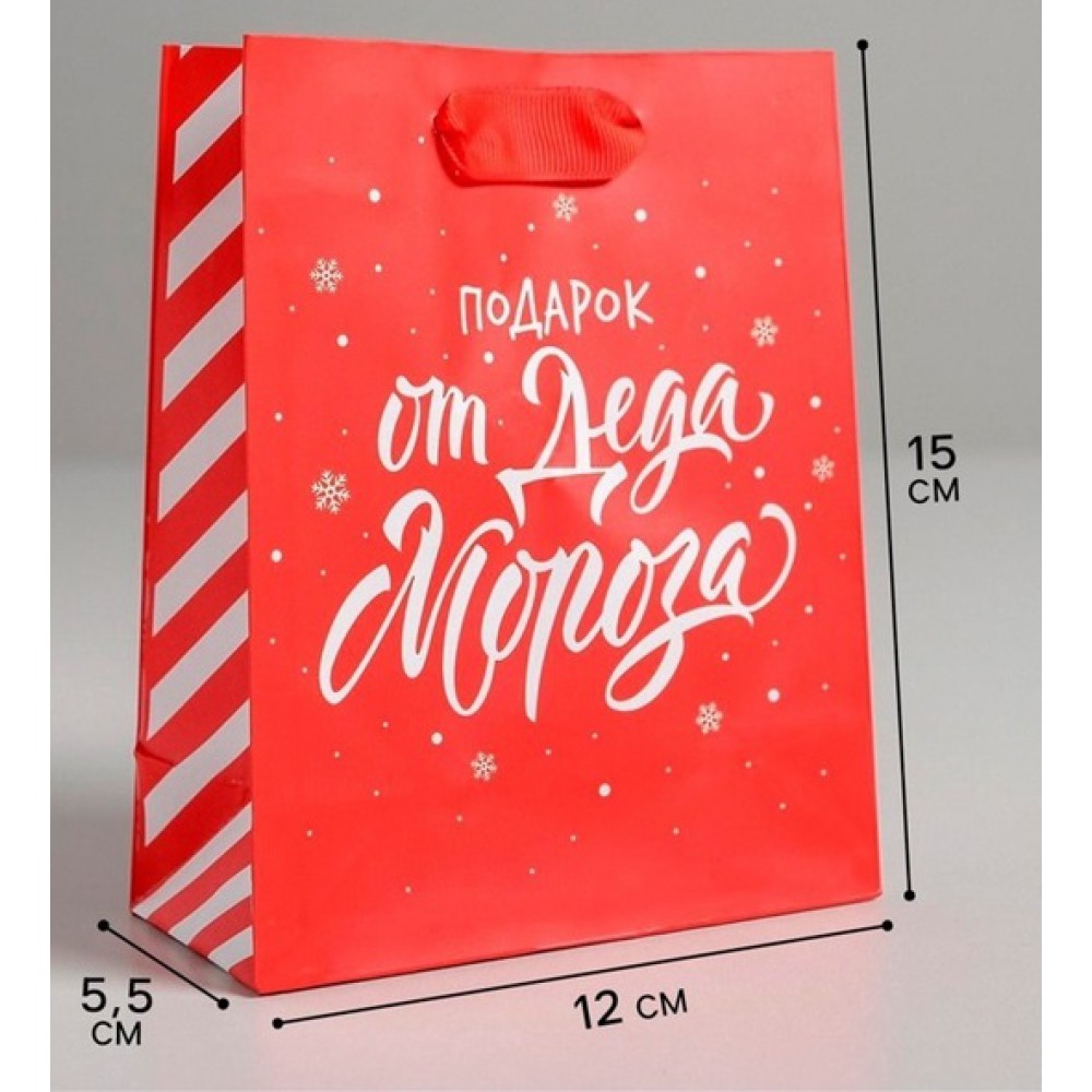 Пакет «Подарок от Деда Мороза», 12×15×5.5 см