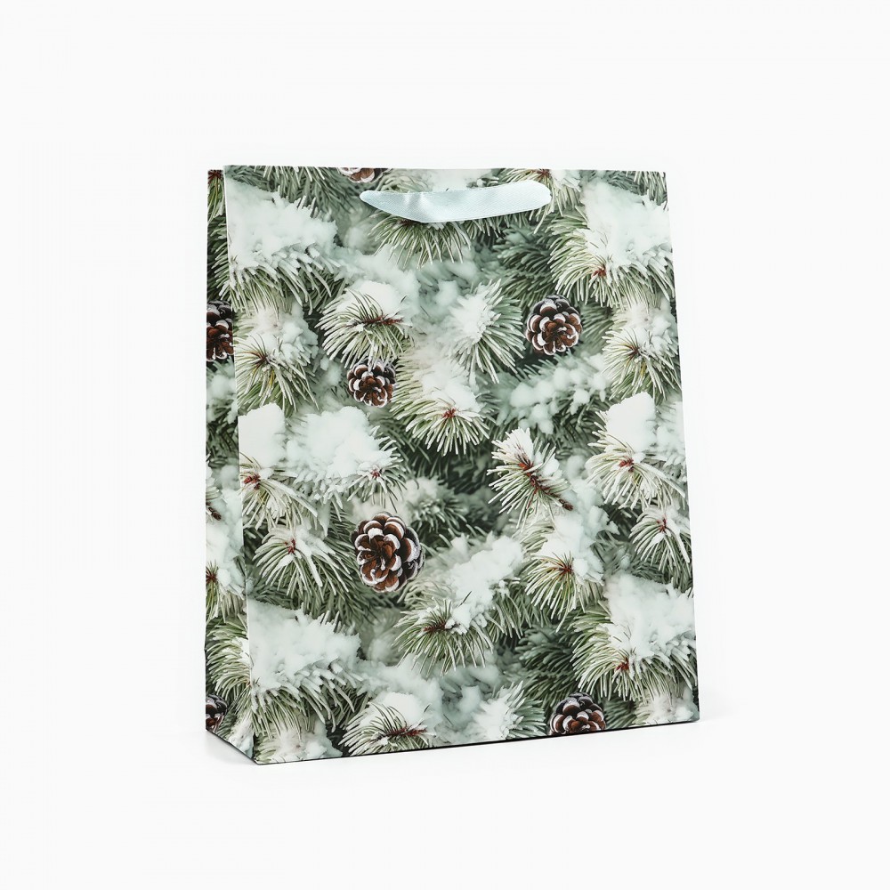 Пакет подарочный «Зимняя ель», 26×30×9 см 