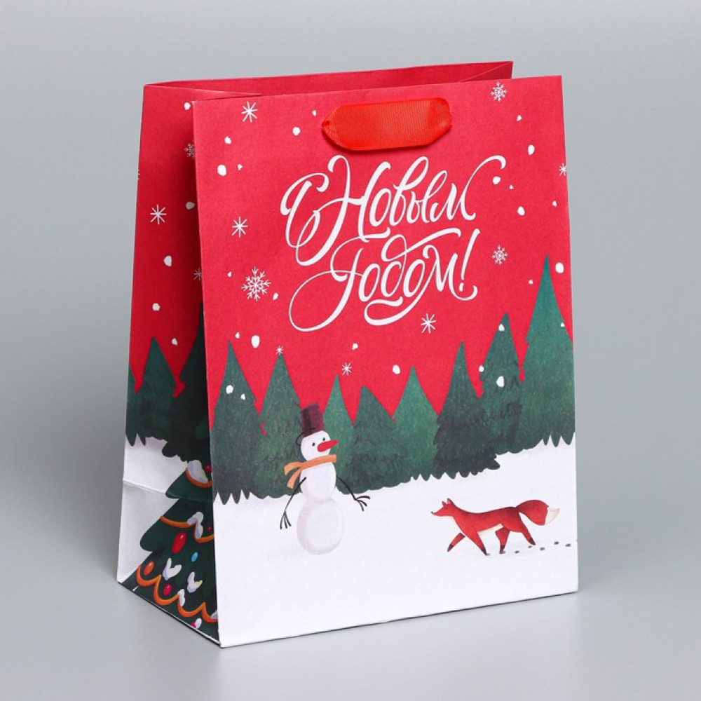 Пакет крафт New, 18×23×10 см  