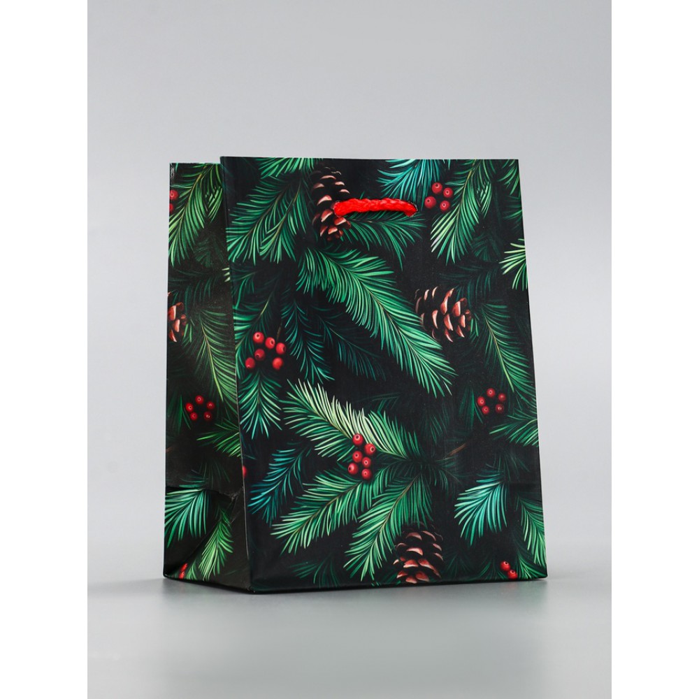 Пакет подарочный «Шишки», 11.5×6.5×14.5 см