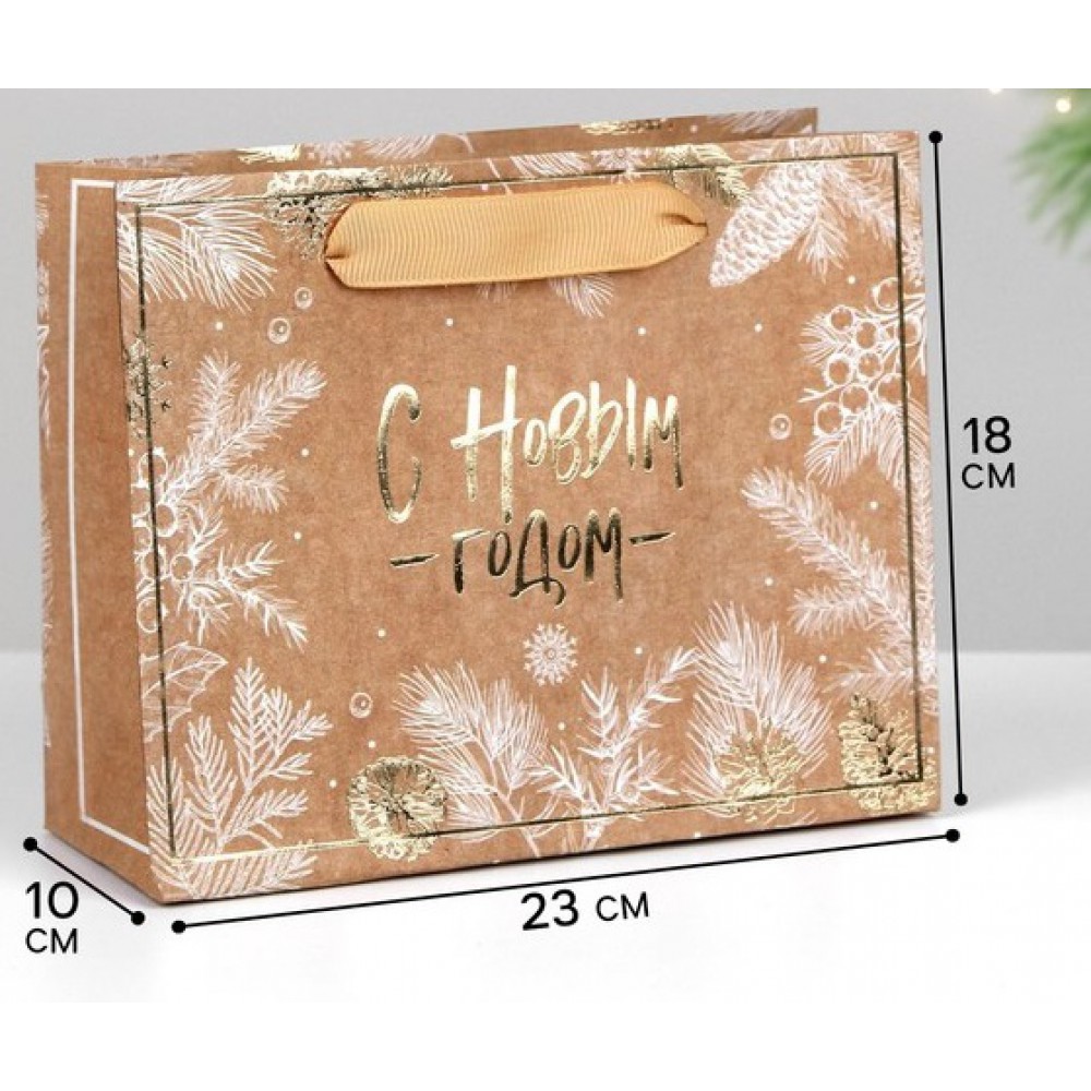 Пакет «С Новым годом», 23×18×10 см