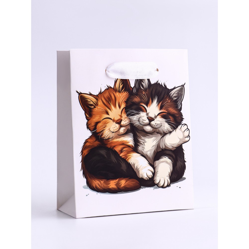 Пакет подарочный «Обнимашки», 12×15×5.5 см
