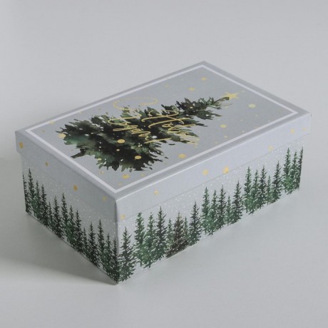 Коробка "Сказочного Нового Года" №8